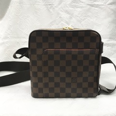 LOUIS VUITTON/ルイヴィトン ダミエオラフPM N4...