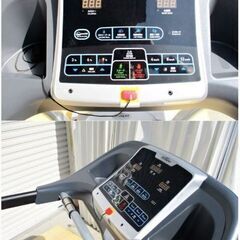 トレッドミル　T82　動作良好　ルームランナー　ウォーキングマシン　ランニングマシン　ホライズン　引き取り歓迎　Tempo Fitness