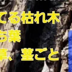 朽ちた木枝、伐採枝や木、枯れ葉、枯れ枝　譲って下さい