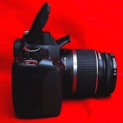 【全国配送可】⭐️便利な転送ケーブル付⭐️Canon  KissX2  レンズキット　美品セット