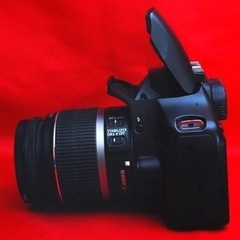 【全国配送可】⭐️便利な転送ケーブル付⭐️Canon  KissX2  レンズキット　美品セット