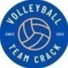 valleyball_team__crack 
