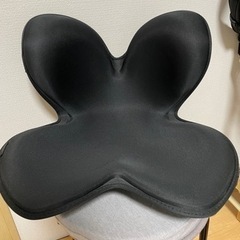 Body Make Seat Style ボディメイクシート ス...