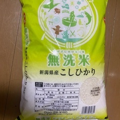 お米　無洗米　新潟県産こしひかり　5kg(在庫2)