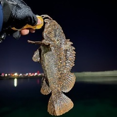 釣り友欲しい