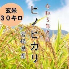 【決定済】09ヒノヒカリ 30kg 令和5年度産 宮崎県 延岡産