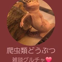 全国🌟 ̖́-爬虫類どうぶつ雑談グルチャメンバーさま募集•…