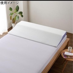 美品 ダブル 安眠枕 トゥルースリーパー カバー付き やわらかめ 低反発