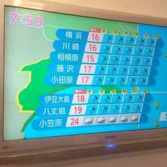 液晶TV　日立Wooo UT42-MX770JW（ディスプレイ部...