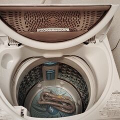 東芝洗濯機　2022年式　７㎏　美品