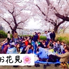 ４月６日（土）１３時〜横浜でお花見🌸