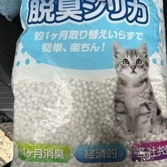 猫トイレ用品　