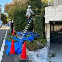 「お金に困らない！日払い可能な造園工事スタッフ募集」 - 土木