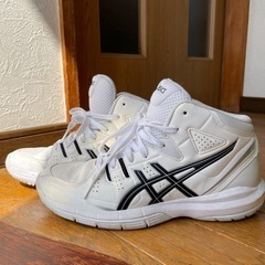 asics シューズ24.5㎝　スニーカー