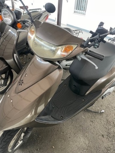 ホンダディオ　ライトブラウン【自賠責あり】
