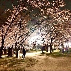 女性無料🫨名城公園　お花見&トークゲーム会！！の画像