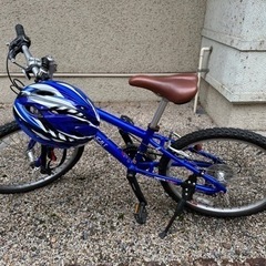 ルイガノ 子供用自転車20インチ