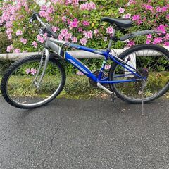 リサイクルショップどりーむ鹿大前店　NO1358 自転車　マウン...