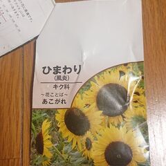 花の種◎