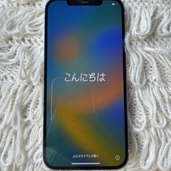 【ネット決済・配送可】iPhone12 Pro Max 256G