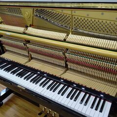 ディアパソン DR125BF 【内部調整 / 外装研磨美装 / 調律済】