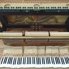 ディアパソン DR125BF 【内部調整 / 外装研磨美装 / 調律済】