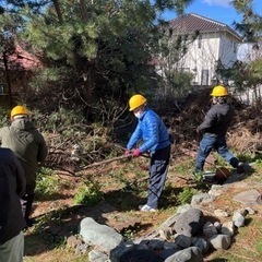 庭　草刈り　剪定　伐採　抜根　遊休土地　耕作休眠地　田んぼ − 群馬県