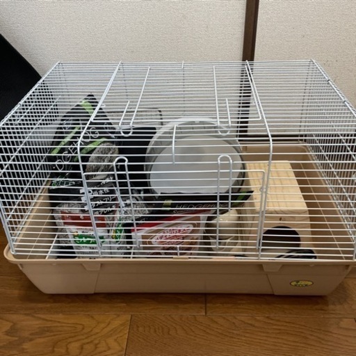 ハリネズミ飼育セット