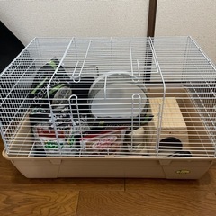 ハリネズミ飼育セット