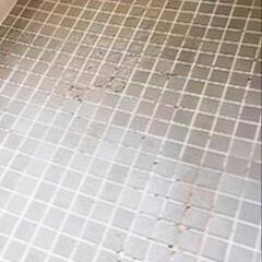 浴室床バスナフローレ