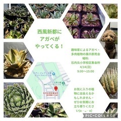 4/14(日)西風新都内集会所で植物イベント初開催！の画像