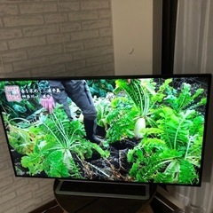 　東芝 REGZA 大型4k 液晶テレビ 55型 55J20X ...