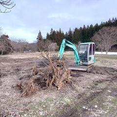 根っこ掘り　抜根　伐採　