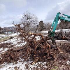 根っこ掘り　抜根　伐採　