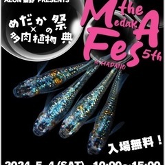 5/4（日）秦野メダカフェス5th 開催！