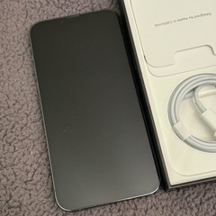 iPhone13pro Max 512GB シエラブルー