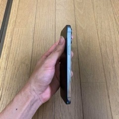 ほぼ未使用】iPhone 13 Pro Max 256GB 付属品等全て有◎