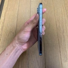 ほぼ未使用】iPhone 13 Pro Max 256GB 付属品等全て有◎