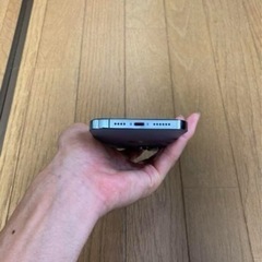 ほぼ未使用】iPhone 13 Pro Max 256GB 付属品等全て有◎