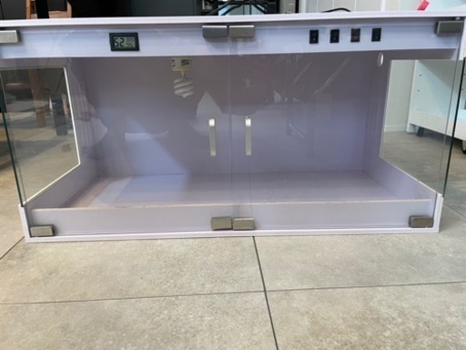 爬虫類ゲージ　　フトアゴヒゲトカゲ(再掲載)