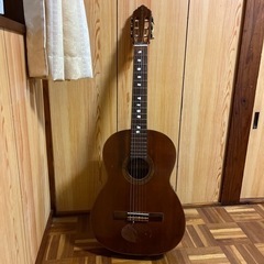 　交渉中　ゼンオン　ガットギター　ZG50