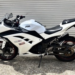 【ネット決済・配送可】325. NINJA 250 EX250L...