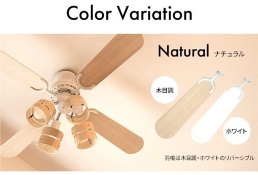 家具 照明器具