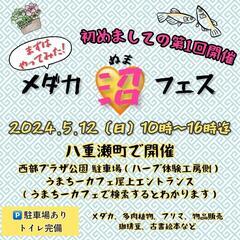 八重瀬町初メダカ沼イベント