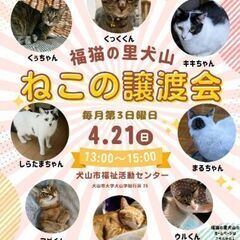 4/21（日）猫の譲渡会 @犬山市福祉活動センターの画像