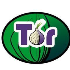 Torネットワークについて教えて下さい。