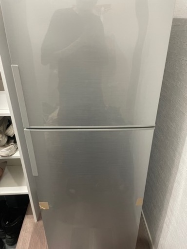 SHARP  冷蔵庫