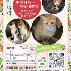 つるみ・猫のカギしっぽ譲渡会4月21日　 JR鶴見駅西口から徒歩５分　室内開催の画像