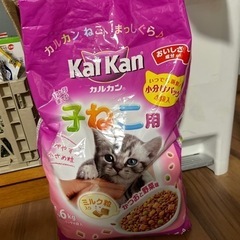 カルカン　子猫用(決まりました)