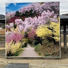 🌺初心者登山バス仲間⛰️一旦募集終了します☘️